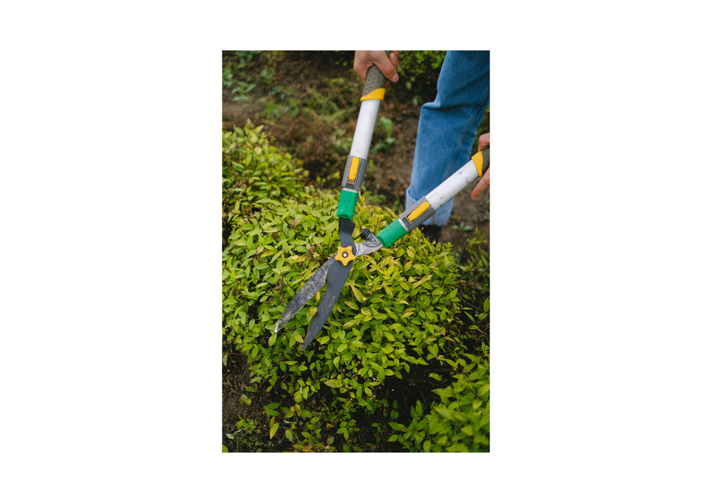 Landscaping & Lawn Care Service
