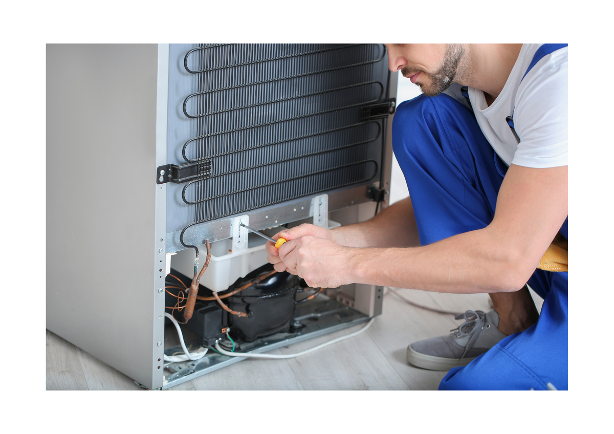 Appliance Repair & Installation Services
