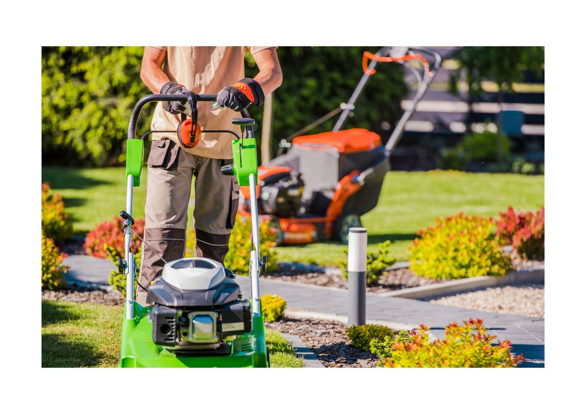 Landscaping & Lawn Care Service