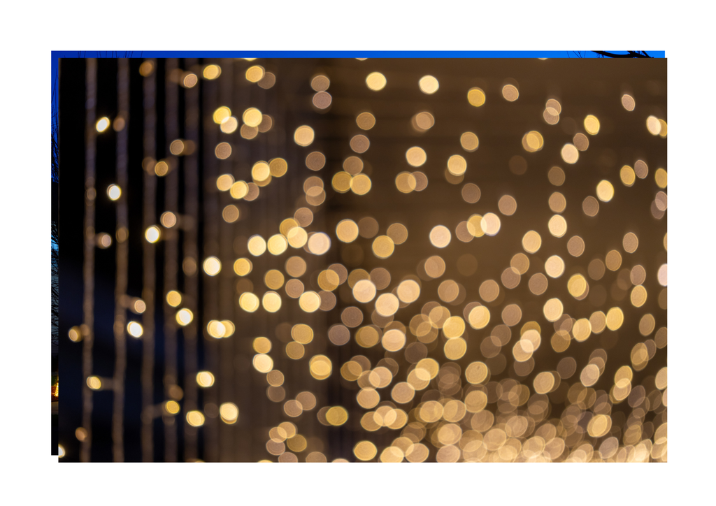 Holiday Lights & Decorations Installation
