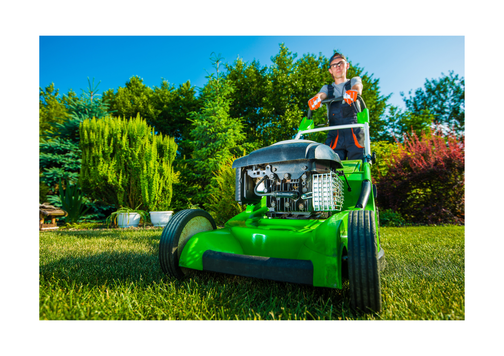 Landscaping & Lawn Care Service