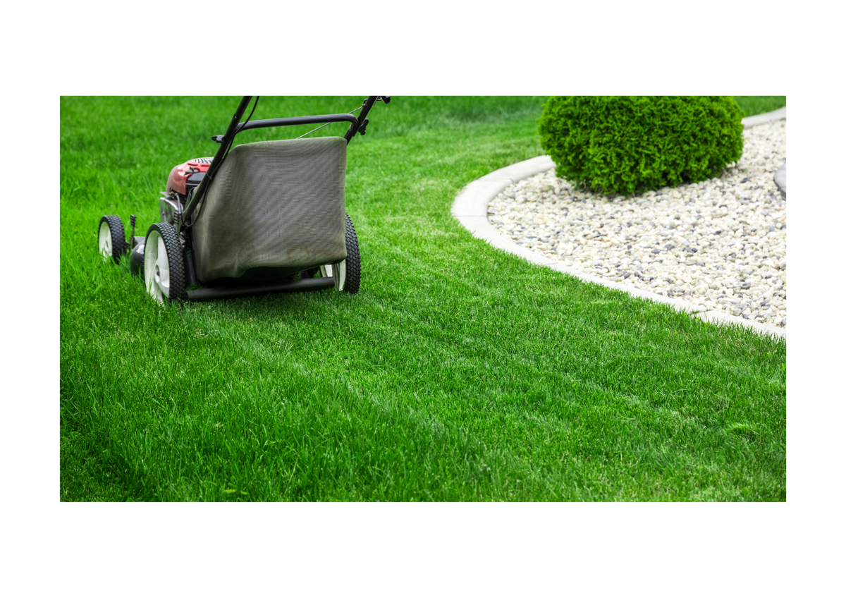 Landscaping & Lawn Care Service