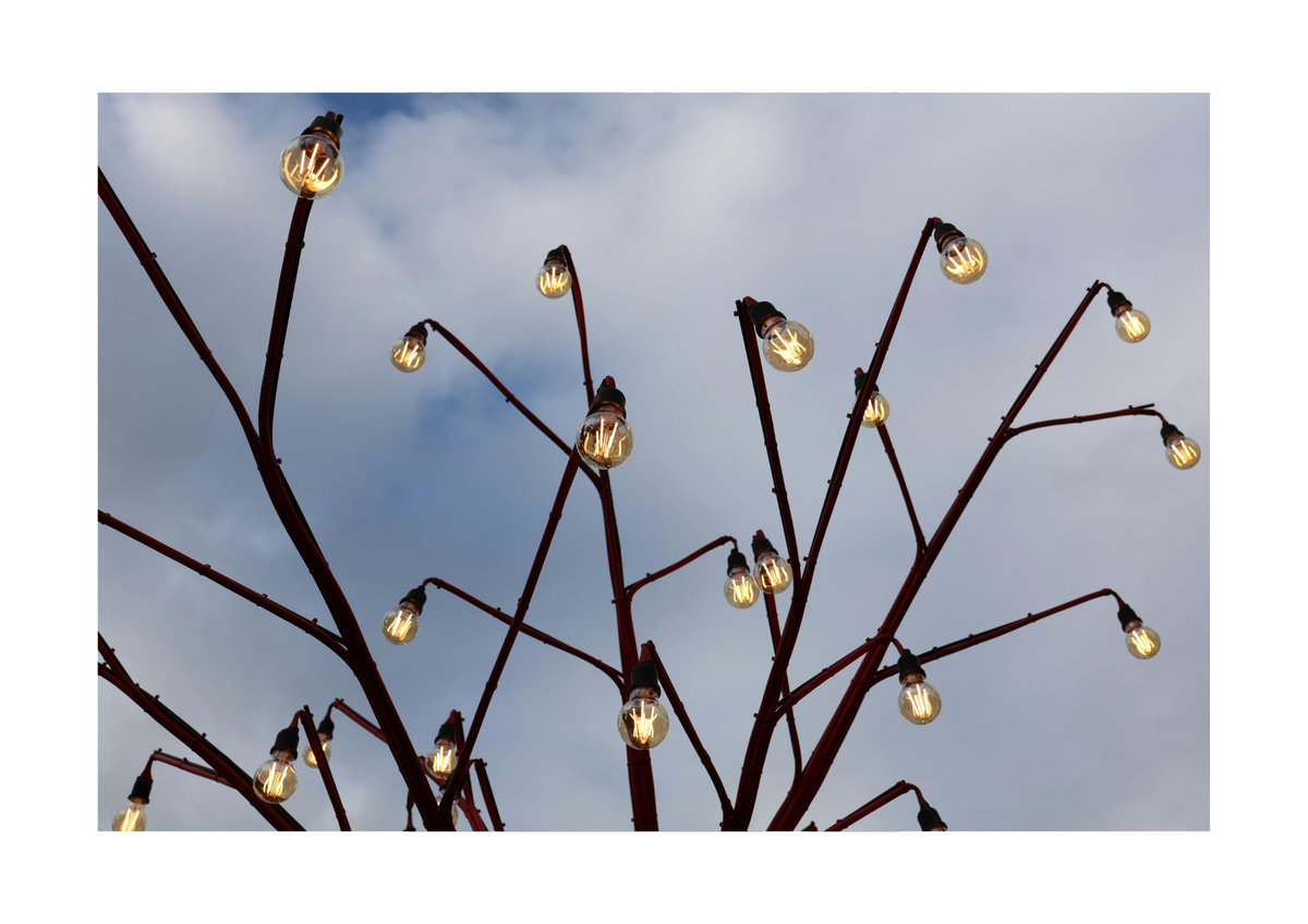 Holiday Lights & Decorations Installation