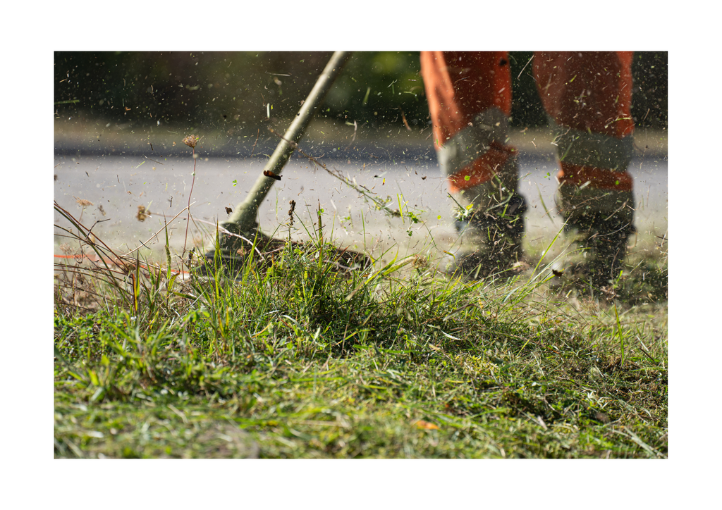 Landscaping & Lawn Care Service