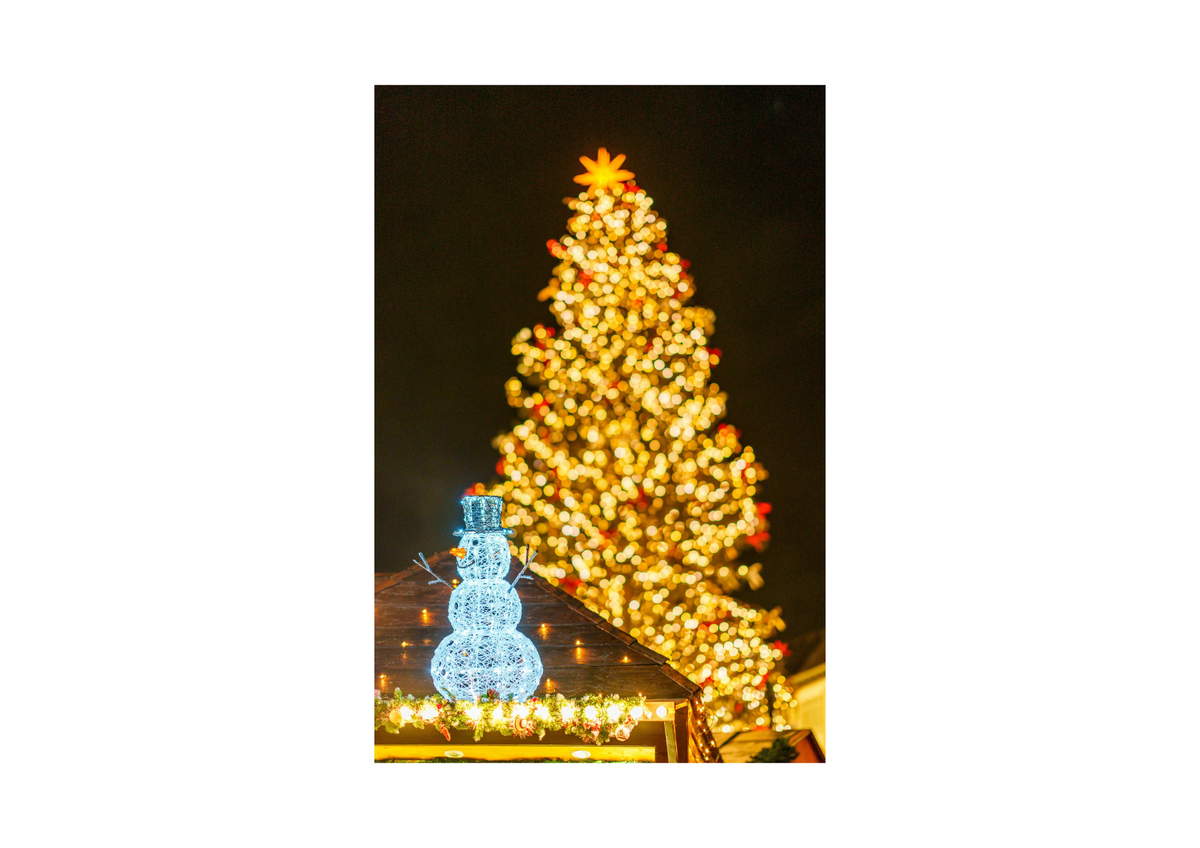 Holiday Lights & Decorations Installation