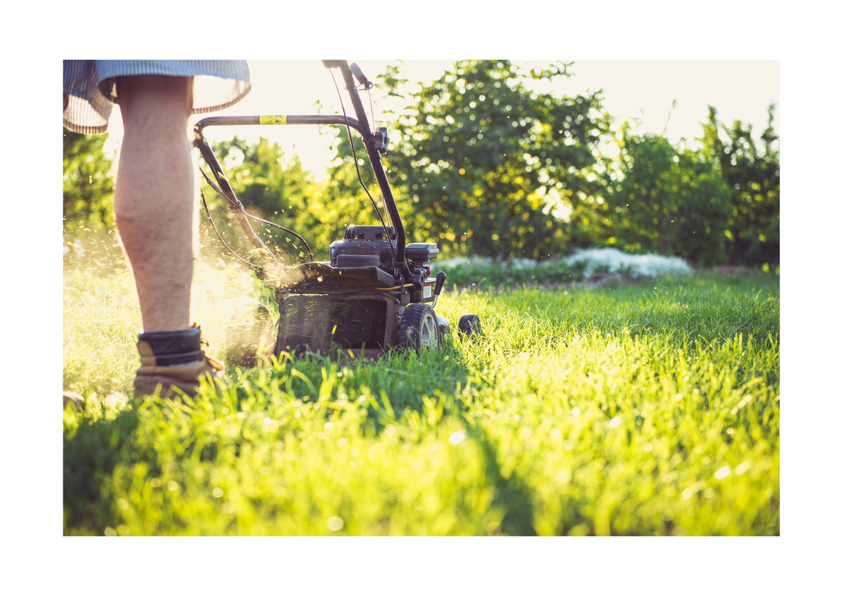Landscaping & Lawn Care Service
