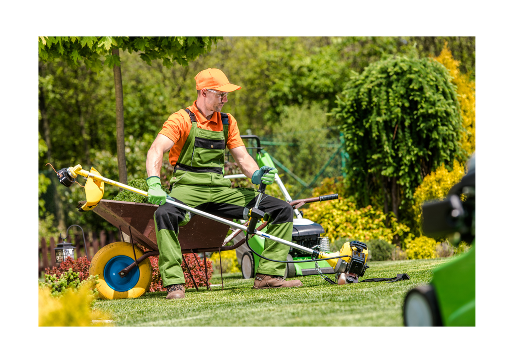 Landscaping & Lawn Care Service