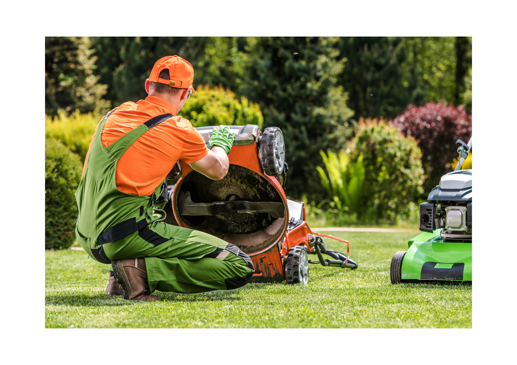 Landscaping & Lawn Care Service