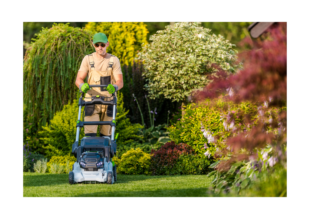 Landscaping & Lawn Care Service