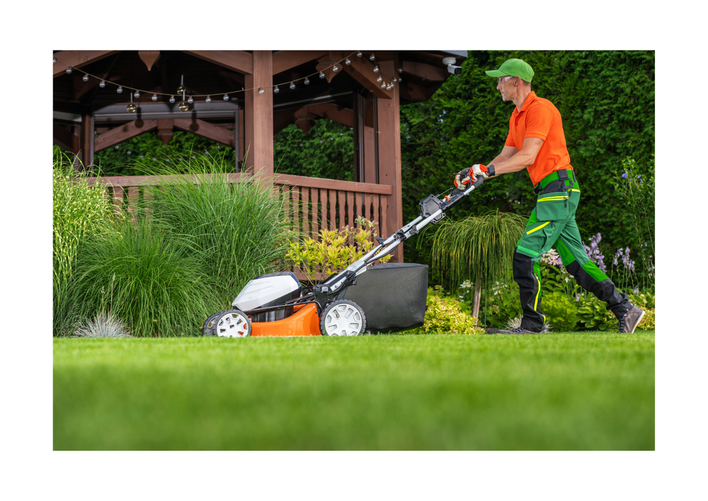 Landscaping & Lawn Care Service