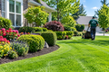 Landscaping & Lawn Care Service